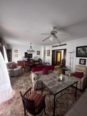 Amplio apartamento Plaza Nueva Seville